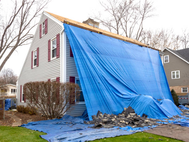 Best Insulated Siding Installation  in Bogalusa, LA