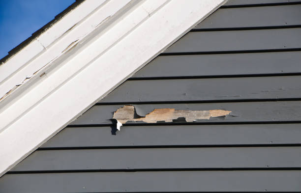 Trusted Bogalusa, LA Siding Installation & Repair Experts